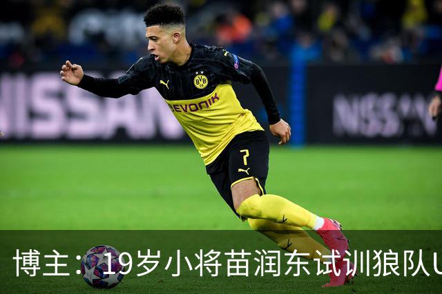 博主：19岁小将苗润东试训狼队U21，已代表狼队U21出战友谊赛